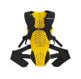 BACK PROTECTOR